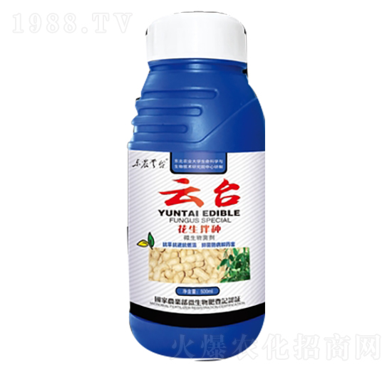 ������N��-���_(t��i)