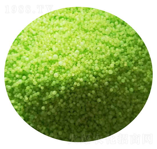 �����ጷ��w��-��˼�r(n��ng)