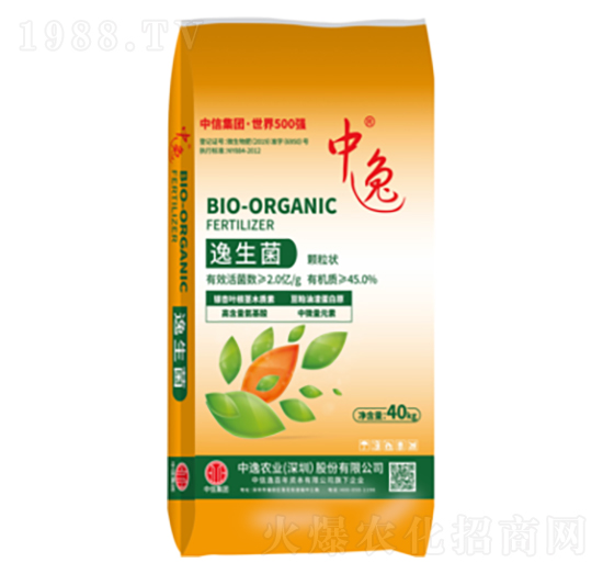 40kg�������-������2�|��-�����r(n��ng)�I(y��)