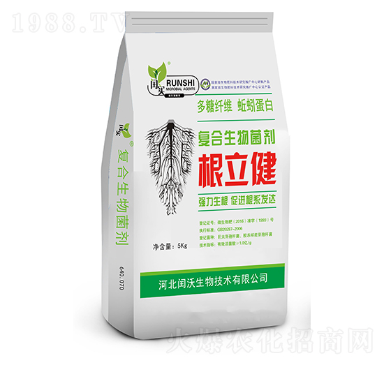 �ͺ��������-������-�c������