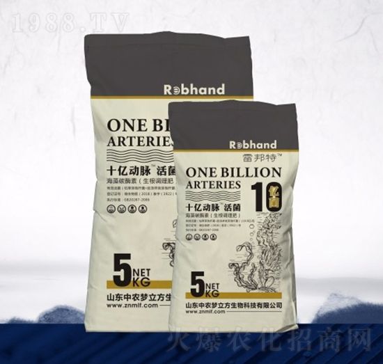 ʮһ��(d��ng)�}���-���r(n��ng)��