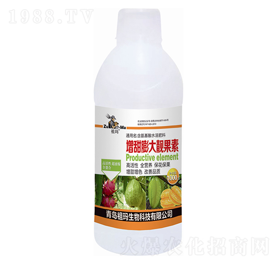 ��������n����-�欔-�ʰl(f��)����