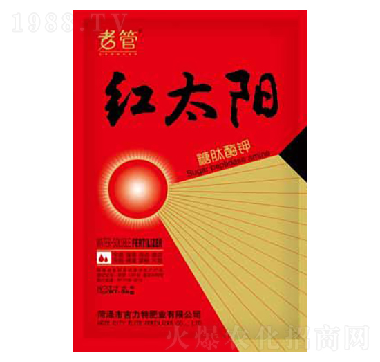 �t̫�-�����طʘI(y��)