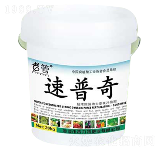 �����R-�����طʘI(y��)