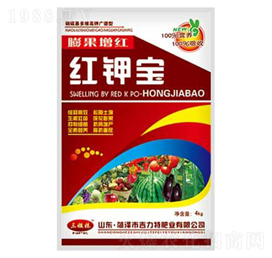 �t⛌�-�����طʘI(y��)