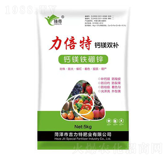 �������}�V�p�a(b��)-�����طʘI(y��)