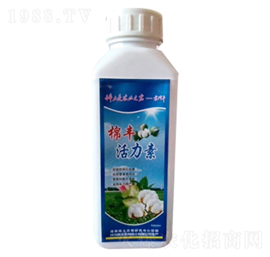 ���S������-�Ό�