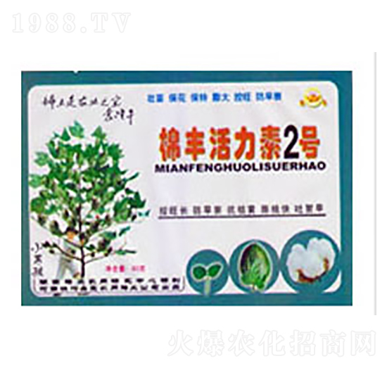 ���S������2̖-�Ό�