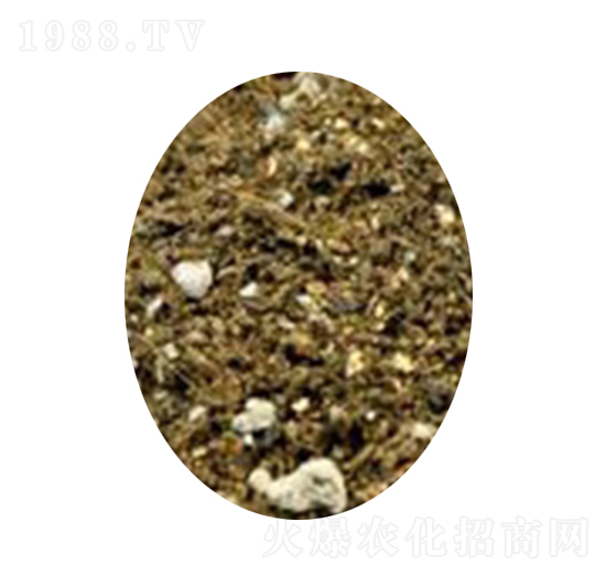 ������ľ�I�B(y��ng)��-�s�S����