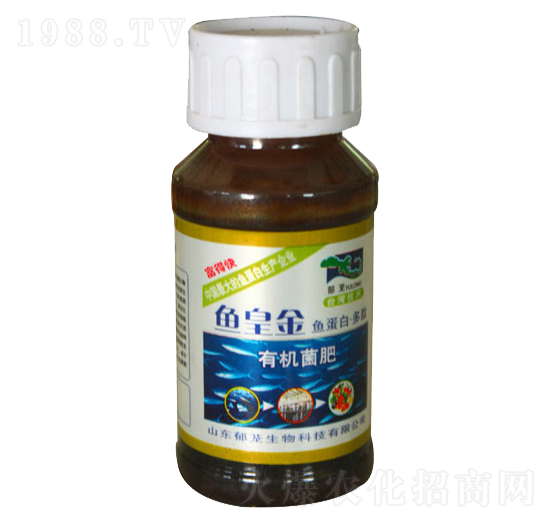 �~�ʽ��ЙC(j��)����-���d����