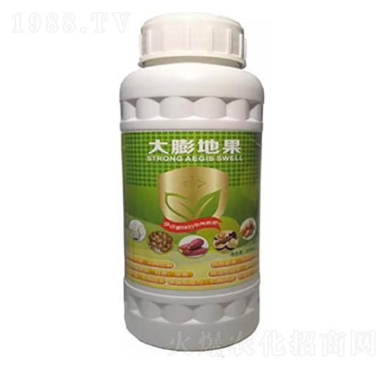 ����ع�-�|������