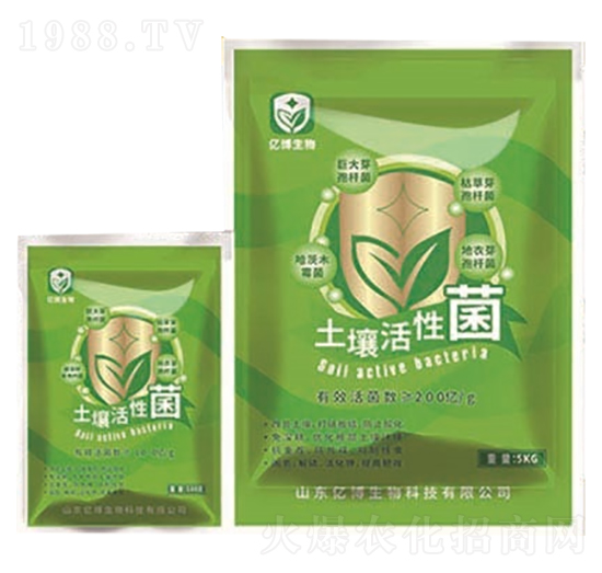 �������Ծ�-�|������