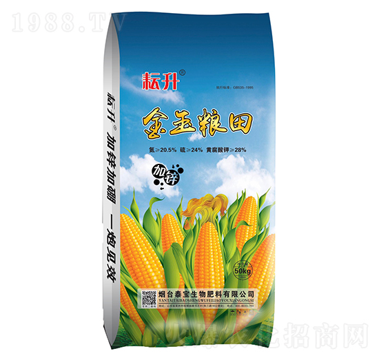 ����Z��-̩������