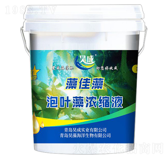 ���~���sҺ-�����-껳Ɍ�(sh��)�I(y��)