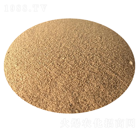 �����������-��������