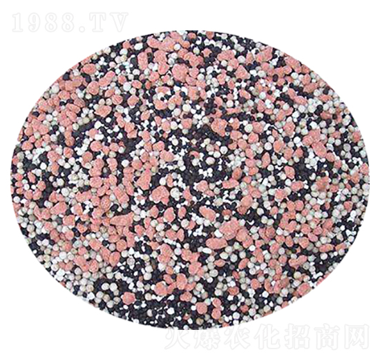 ��������w��-���S