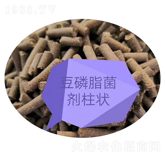 ����֬�����-��T�r(n��ng)�I(y��)