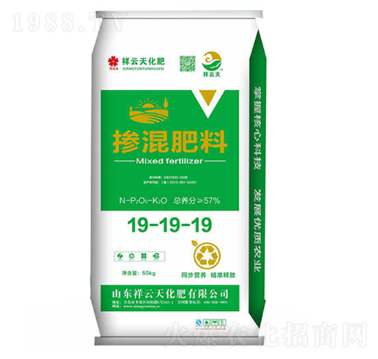 �������19-19-19-������