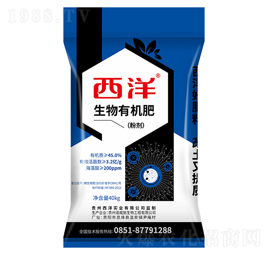 �����ЙC(j��)��-���󌍘I(y��)