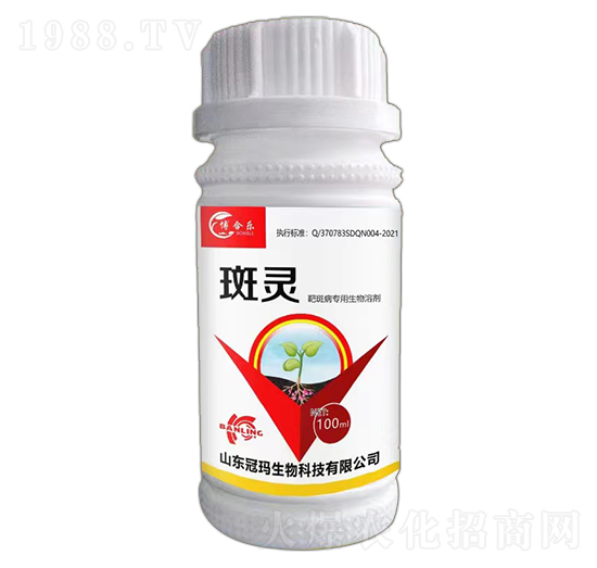 �а߲����������܄�-���`-�ڬ�����