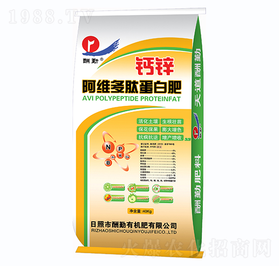 �}�\���S���ĵ��׷�-����