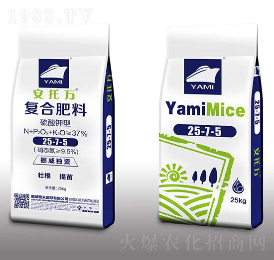 ������͏�(f��)�Ϸ���25-7-5-�����f-��������