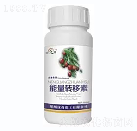 �������D(zhu��n)����-�h�滯��