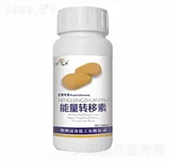 â�������D(zhu��n)����-�h�滯��