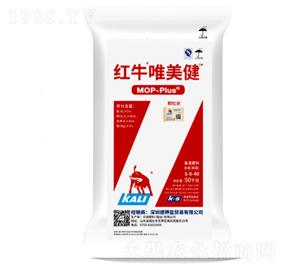 �tţΨ����-���·���