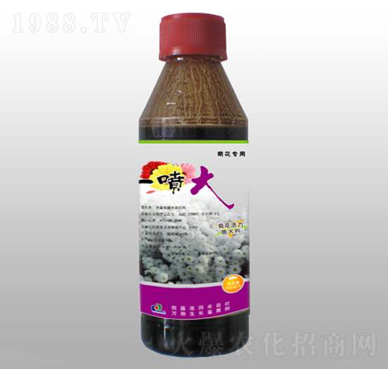 �ջ��������-һ����-ِ�(y��ng)����