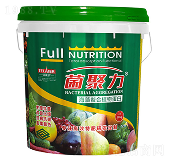 ��������ֲ�ﵰ��-������-���R��