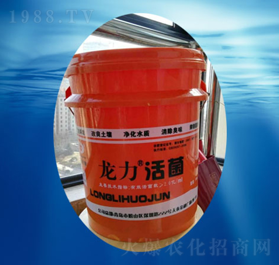 �������-��������