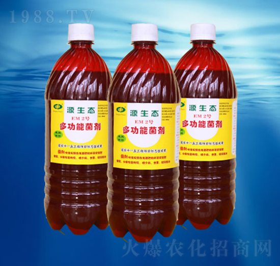 EM2̖-��������