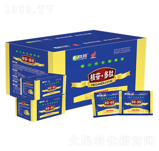 ��һ�������Ƅ�-���ն���-�������