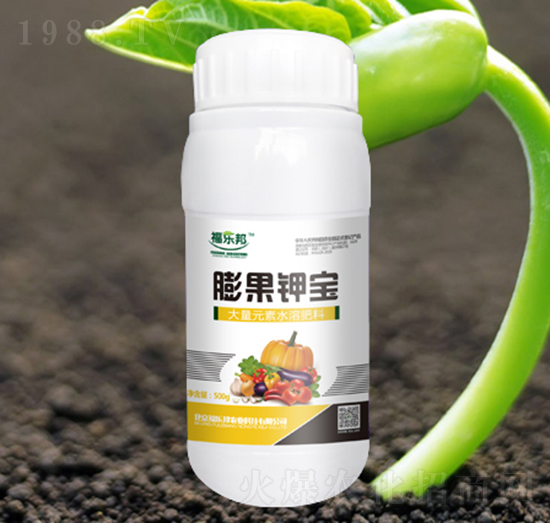 ���⛌�-������