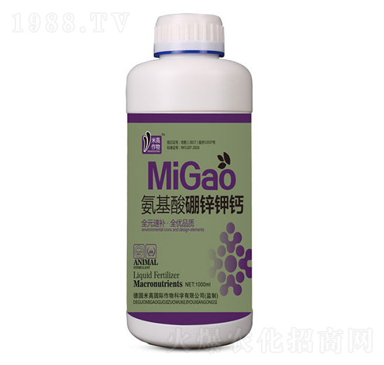 ���������\��}-ʥ�ϝ�(r��n)