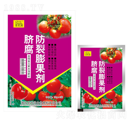 ���������-ʥ�ϝ�(r��n)