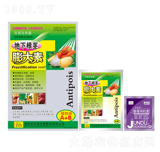 ���¸��o�����-ʥ�ϝ�(r��n)