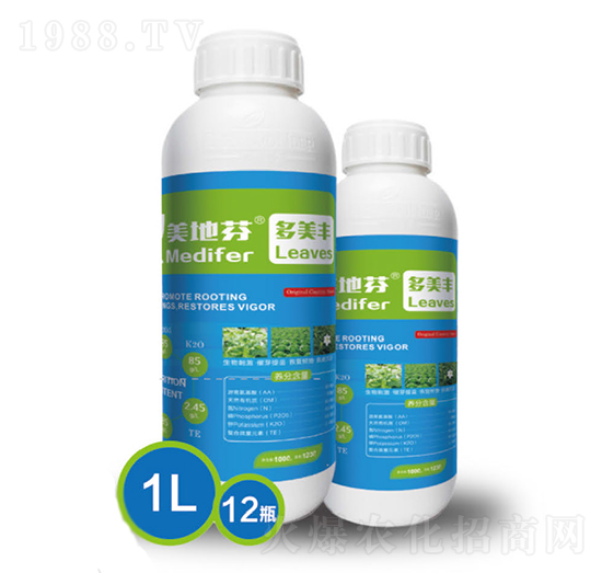 ���طҶ����S-���