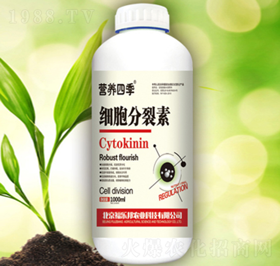 ��(x��)��������-����(l��)��