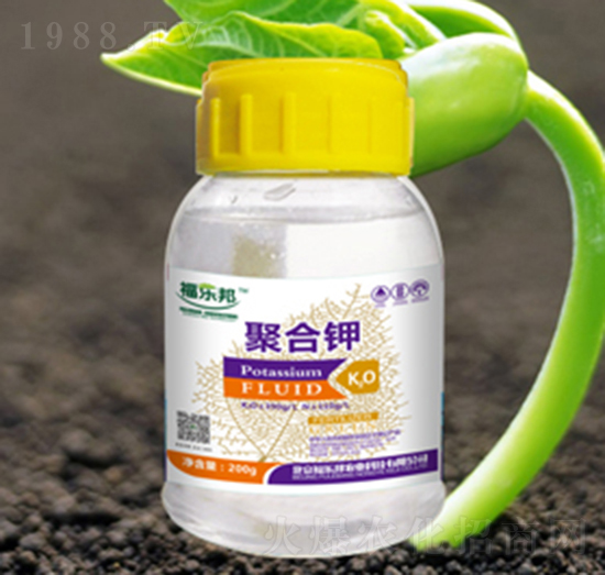 200g�ۺ��-������