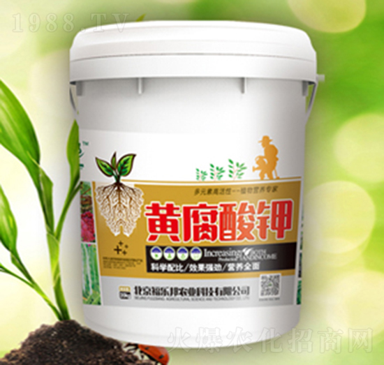 �S�����-������