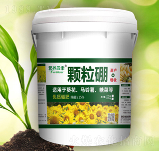 �I(y��ng)�B(y��ng)�ļ��w����-������