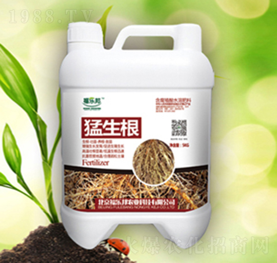 ������-������