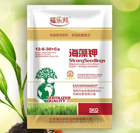 �����-������