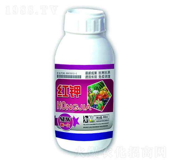 �t�-����ʘI(y��)