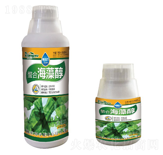 ���Ϻ��崼-����ʘI(y��)