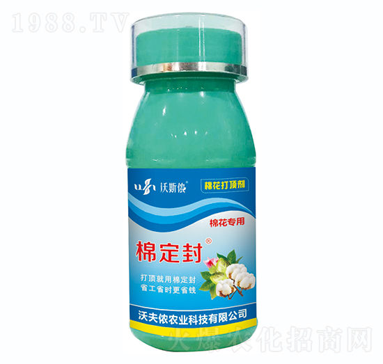 �޻�����-�޶���-�ַ�z