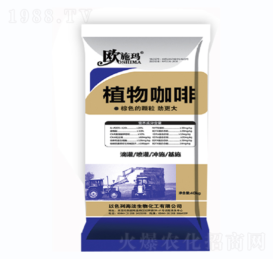 ֲ�￧��-һ������