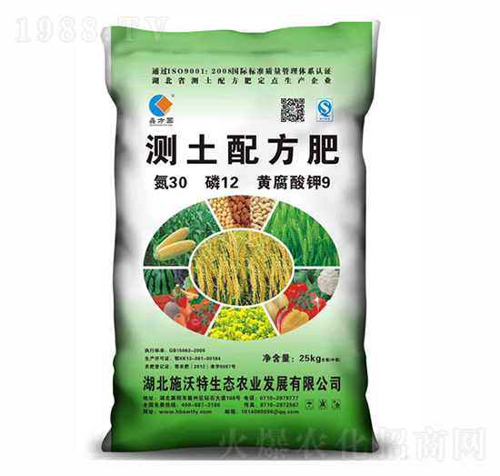 �y���䷽��30-12-9-ʩ����